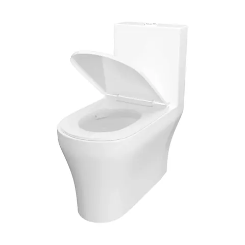 Gravity Rimless toilet