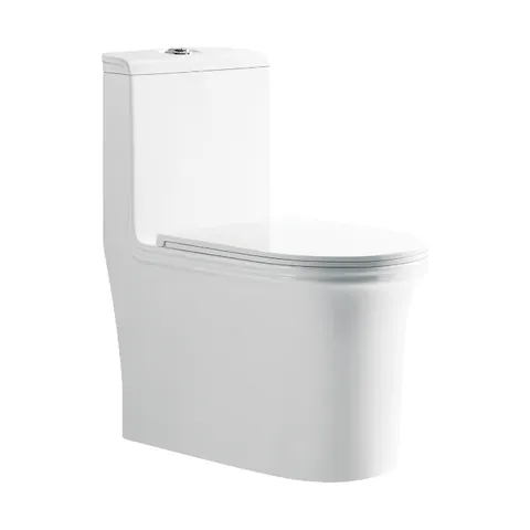 Kerovit Rimless toilet
