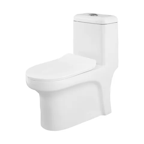 Somany Bathware Rimless toilet