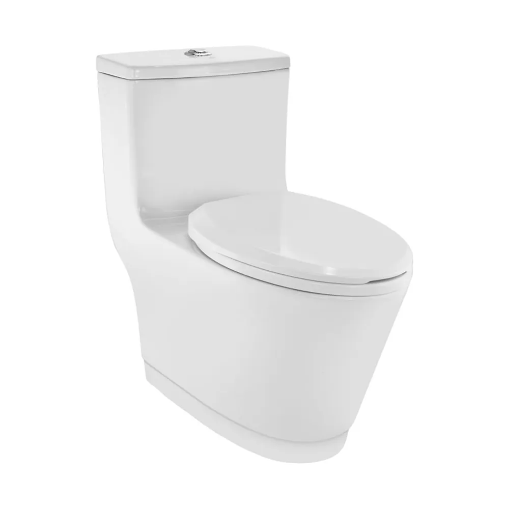 Rimless toilet
