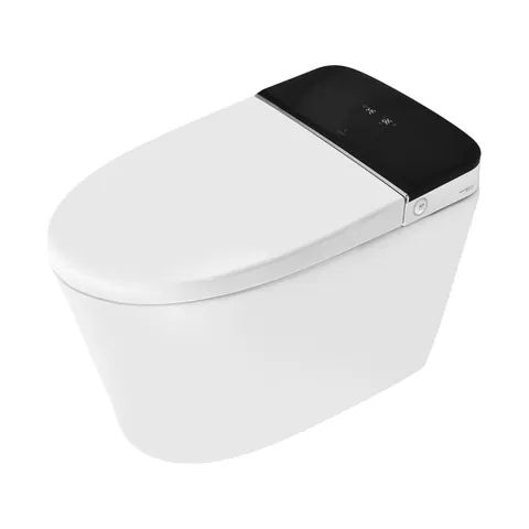 Smart toilet