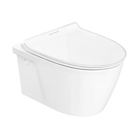 Wall-hung toilet